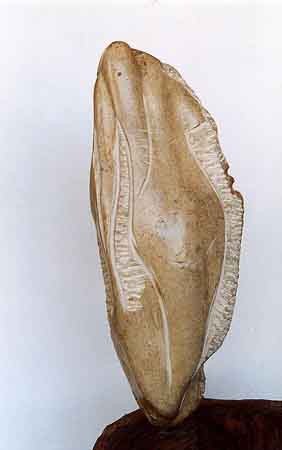 Venere 